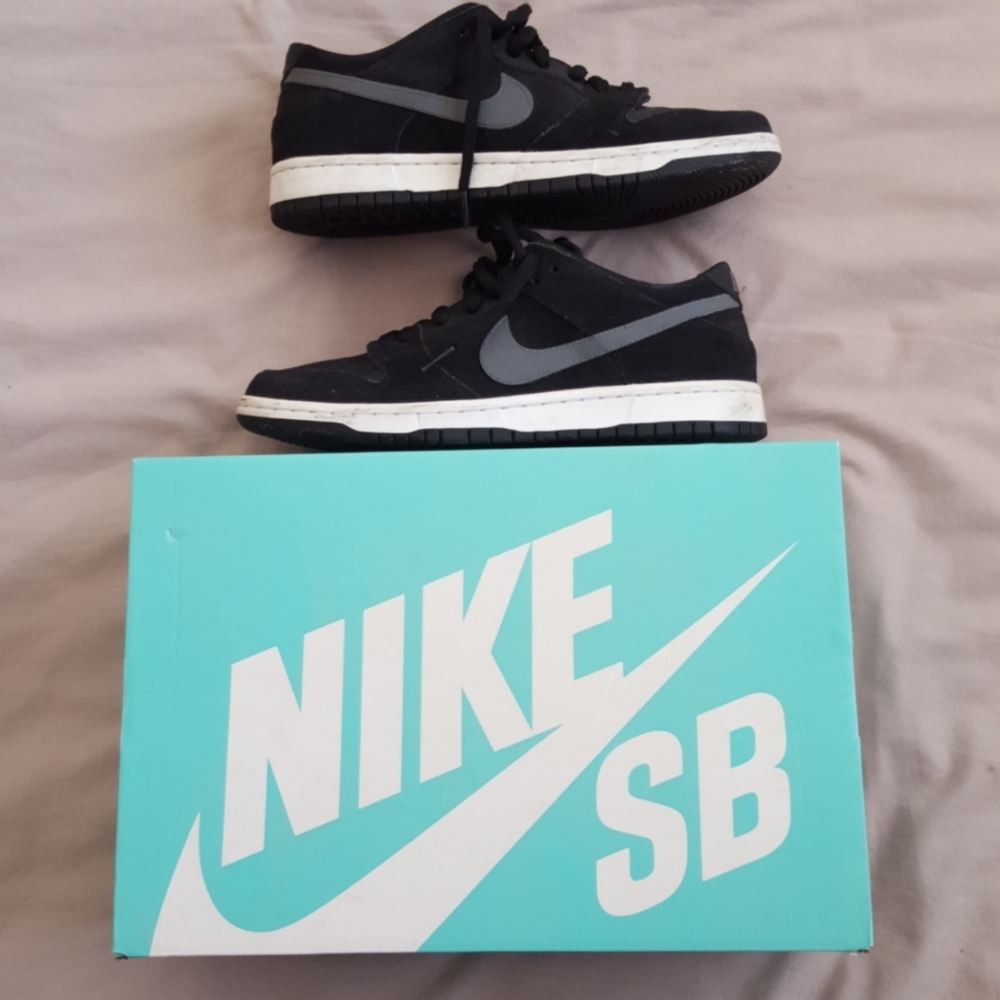 Nike SB Zoom Dunk Low Pro